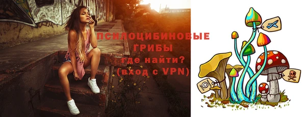 спиды Верея