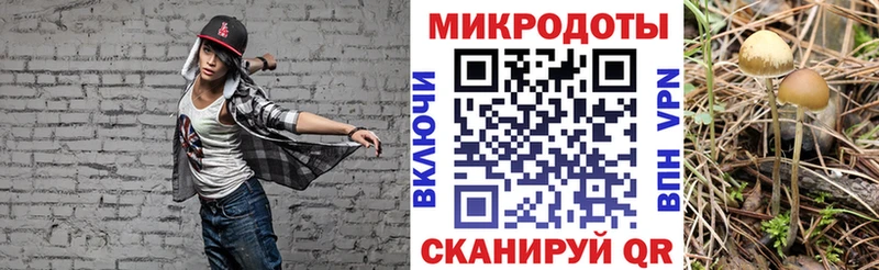 kraken   Партизанск  Псилоцибиновые грибы MAGIC MUSHROOMS  цена наркотик 